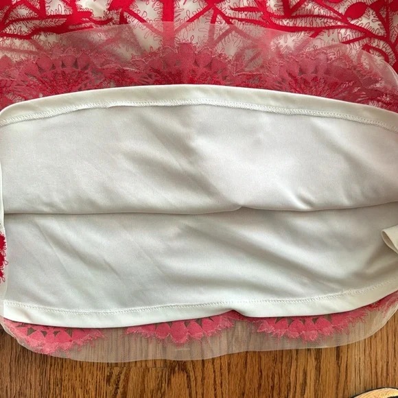 Anthropologie | Geisha Designs | Sugared Ruby Red Lace Dress | Size 6 - Picture 13 of 17